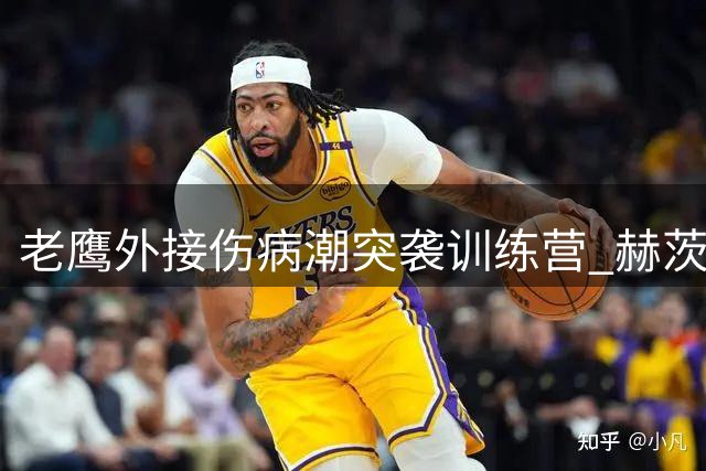 老鹰外接伤病潮突袭训练营 赫茨传球精准度亮红灯